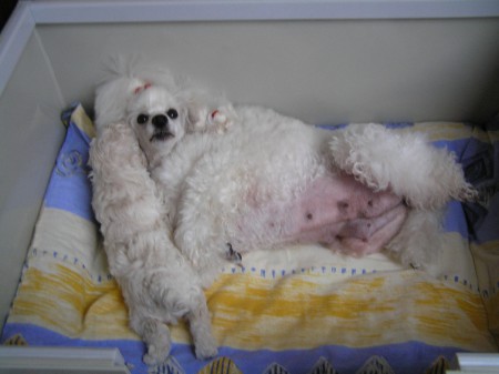 ... ale s mámou je to stále nejlepší...